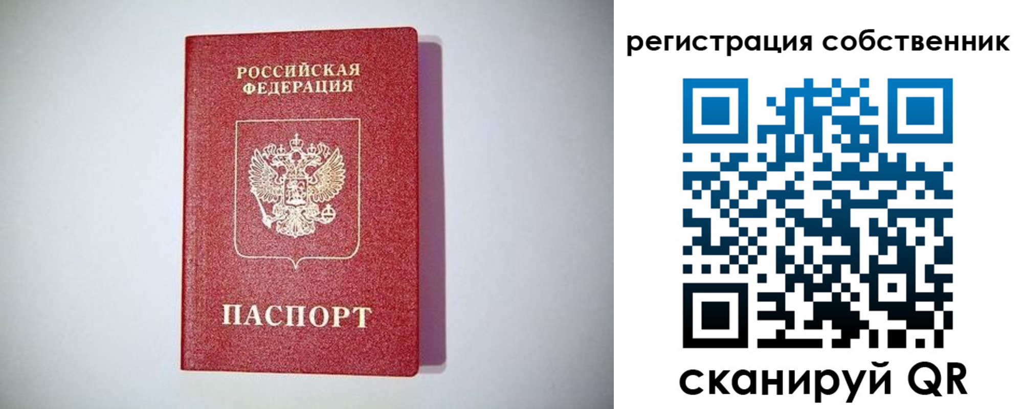 временная регистрация для школы в Тихвине